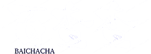百查查